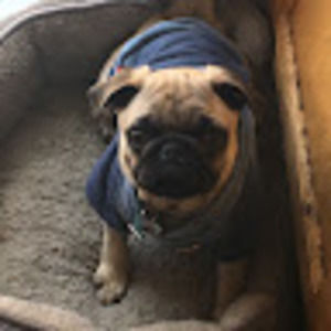 Meet your Posher, Karla